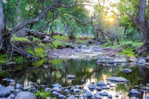 The Great Outdoors (California)